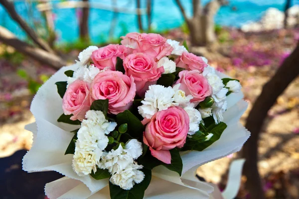 Біло-рожеві тюльпани — стокове фото