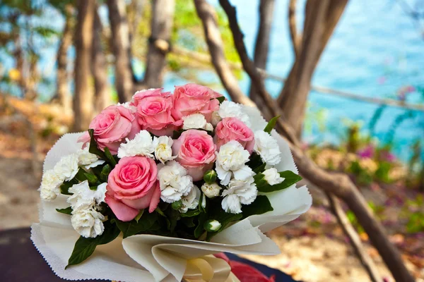 Біло-рожеві тюльпани — стокове фото