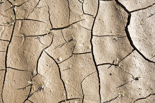 Fond de terre fissurée — Photo