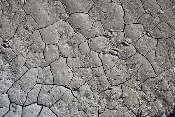 Cracked earth background — Stock Photo, Image