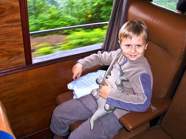 Chłopiec ciesząc się przy malowniczym jeździć w sri lanka — Zdjęcie stockowe