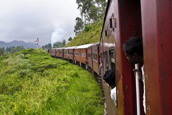 Ragazzo che guarda fuori dalla ferrovia in un paesaggio panoramico in Sri Lanka — Foto Stock