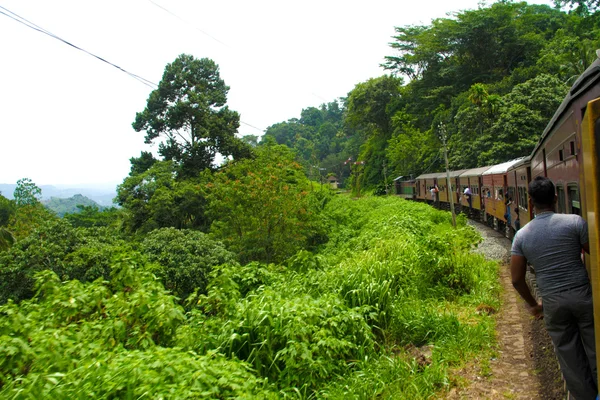Montando de trem a trilha de montanha cênica de Nuwarelia para Colo — Fotografia de Stock