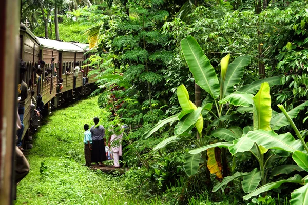 Jízda vlakem malebné horské tratě od nuwarelia do colo — Stock fotografie