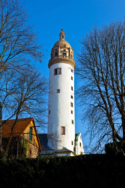フランクフルトで有名な中世 hoechster 海運 — ストック写真
