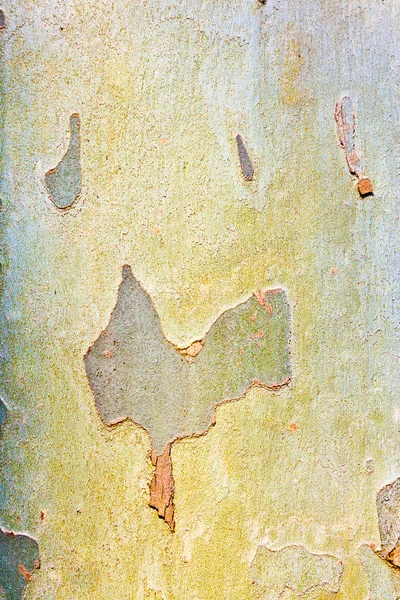 平らな木のパターン — ストック写真