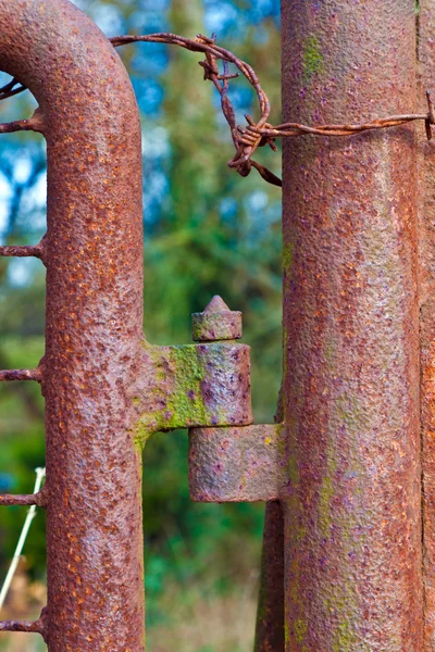 Bisagra oxidada en una puerta — Foto de Stock