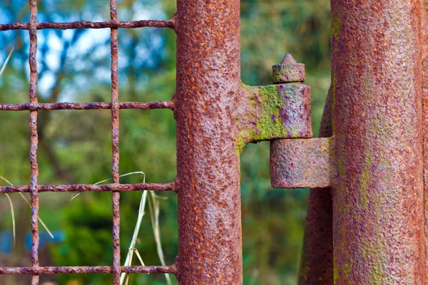 Cerniera arrugginita a un cancello — Foto Stock