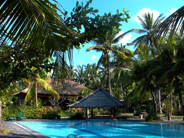 Bella piscina all'oceano con palme — Foto Stock