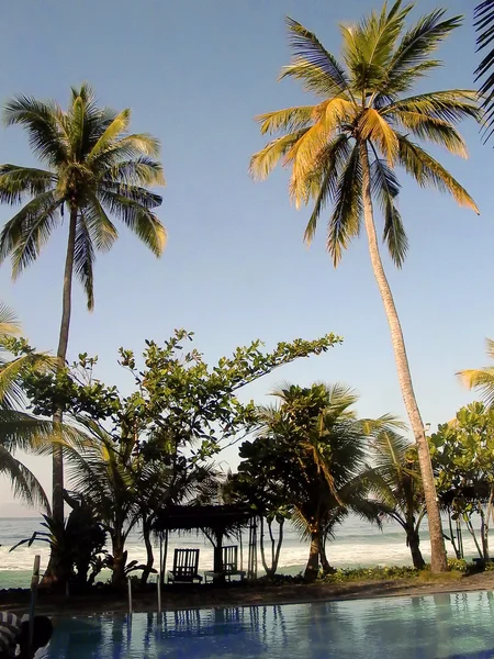 Mooi zwembad bij de oceaan met palmen — Stockfoto