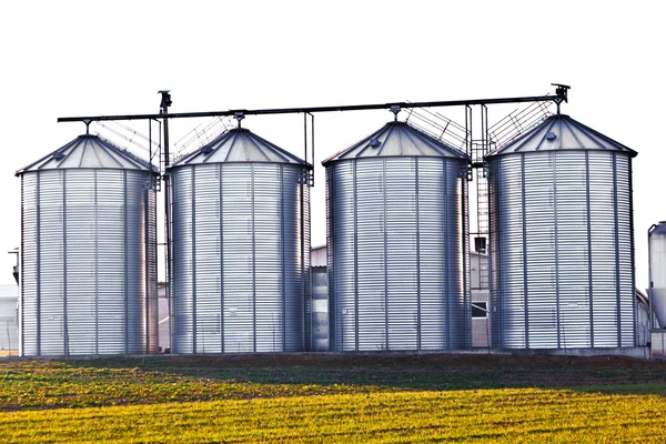 Silver silos in the field — Stock Photo, Image