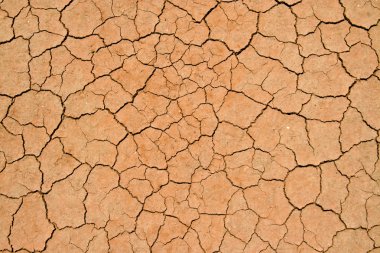 Cracked and dried mud texture clipart