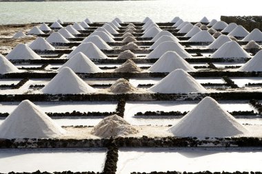 Salt piles on a saline exploration clipart