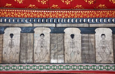 Akupunktur ve Uzakdoğu Tapınağı wat pho resimlerinde öğretmek medici
