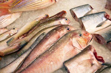 Bütün taze balıkları Asya balık pazarında sunulan