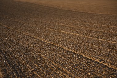 Freshly plowed field in beautiful light clipart