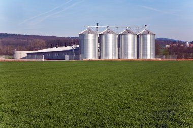 güneşin altında güzel manzara içinde silo