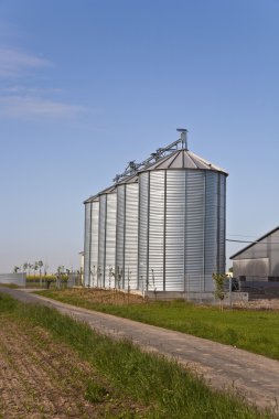 Silo acre peyzaj ile parlayan gümüş