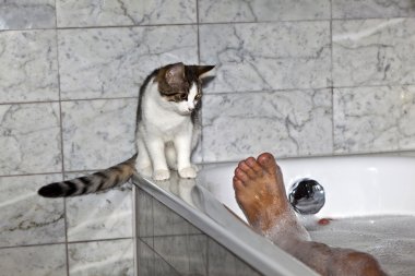 ayak banyo adam ve kedi küvet geziniyor