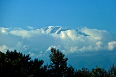 kilimanjaro Dağı karla kaplı