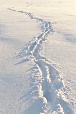 Footsteps on the snow clipart