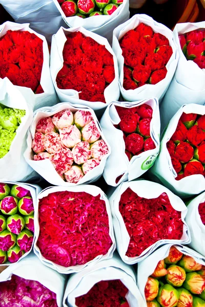 Bellissimi fiori al mercato dei fiori — Foto Stock