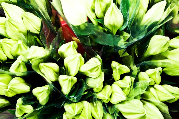Güzel çiçekler, çiçek pazarı — Stok fotoğraf