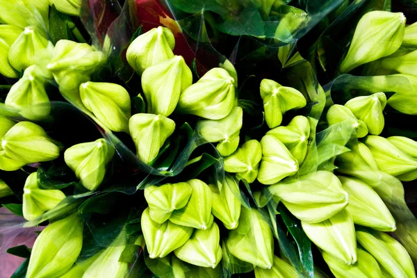 Krásné květiny na květinový trh — Stock fotografie