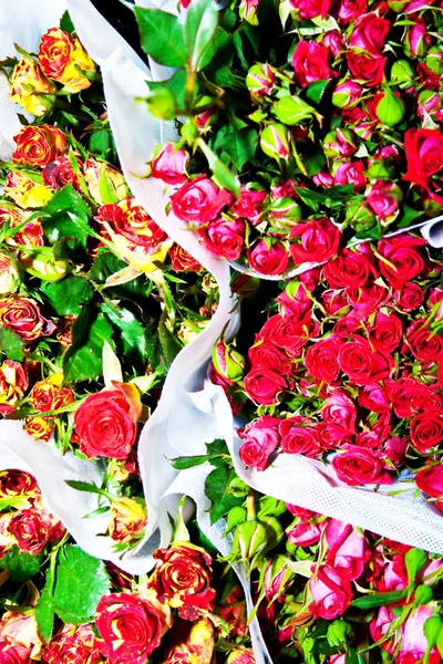 美丽的花朵在花卉市场 — 图库照片