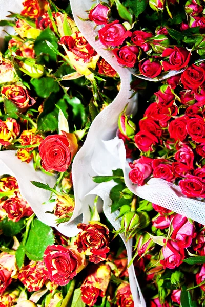 Schöne Blumen auf dem Blumenmarkt — Stockfoto