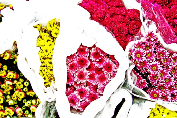 Vackra blommor på blomstermarknaden — Stockfoto