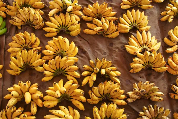 Bananen op de markt in colombo — Stockfoto