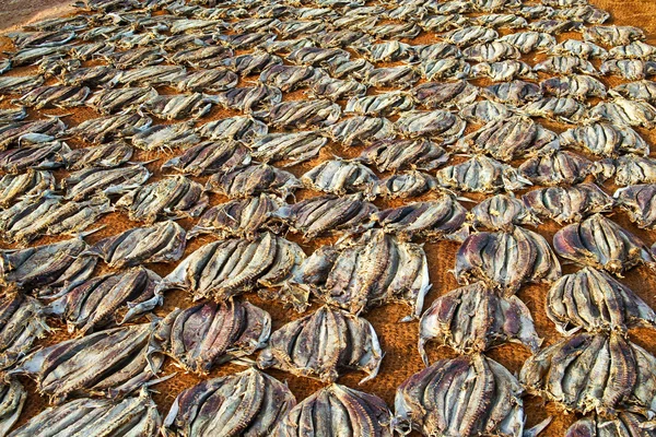 Stockfished coco mindere kurutma — Stok fotoğraf