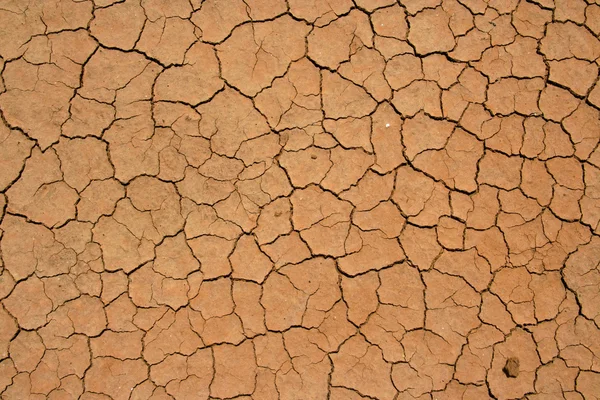 Kırık ve kurutulmuş çamur doku — Stok fotoğraf