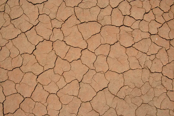 Gebarsten en gedroogde modder textuur — Stockfoto