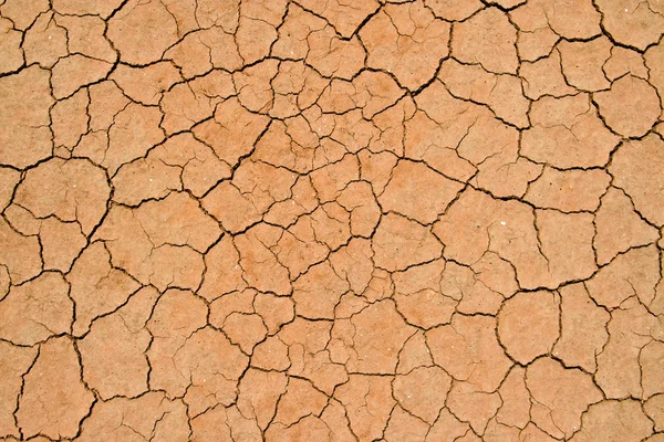 Cracked and dried mud texture — Stock Photo, Image