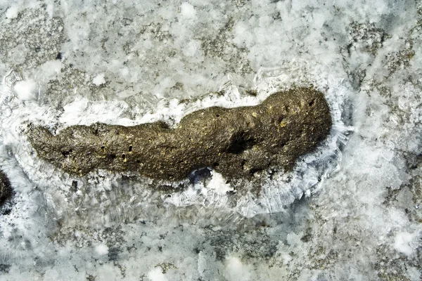 코스트 라인에 아름 다운 돌 구조 — 스톡 사진
