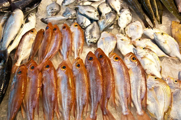 Целые свежие рыбы предлагаются на рыбном рынке в Азии — стоковое фото
