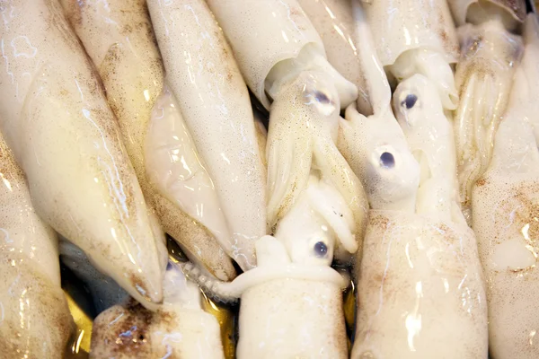 Peces frescos enteros se ofrecen en el mercado de pescado en Asia — Foto de Stock