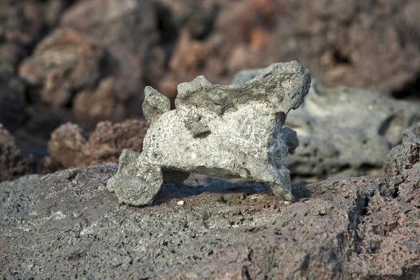 Вулканические камни у берега — стоковое фото