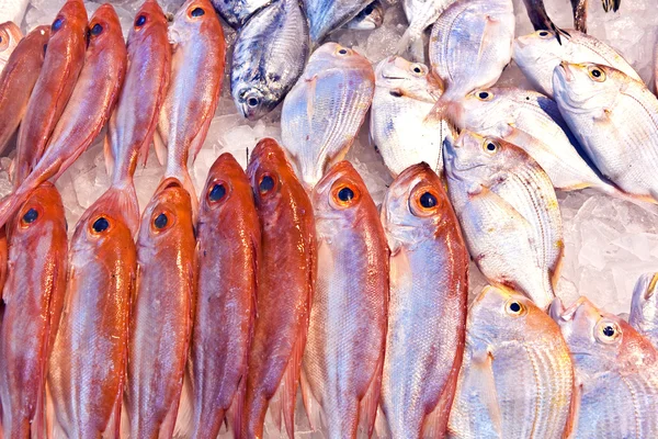 アジアの魚市場全体の新鮮な魚を提供しています — ストック写真