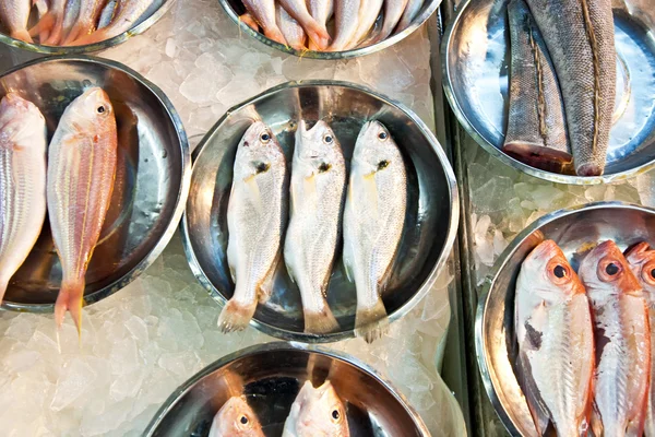 Pesci freschi interi sono offerti nel mercato del pesce in Asia — Foto Stock