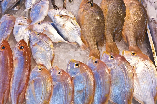 Bütün taze balıkları Asya balık pazarında sunulan — Stok fotoğraf