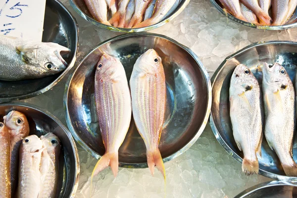 在亚洲市场上的鱼提供了新鲜全鱼 — 图库照片