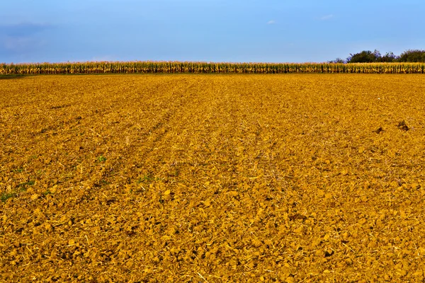 Felder nach der Ernte in heller Erdfarbe — Stockfoto