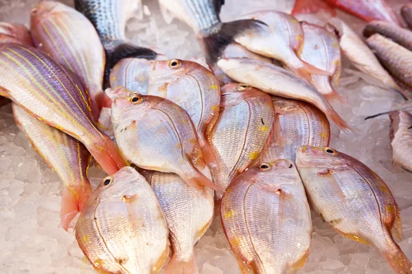 Whole fresh fishes are offered in the fish market in asia — Stock Photo, Image
