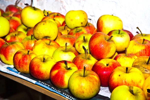 Jablka jsou uloženy ve sklepě — Stock fotografie