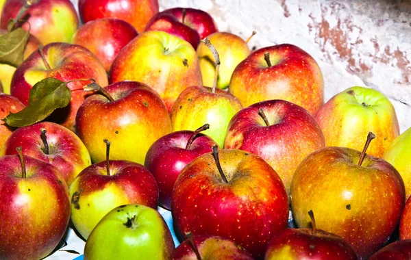 リンゴはセラーに格納されます。 — ストック写真