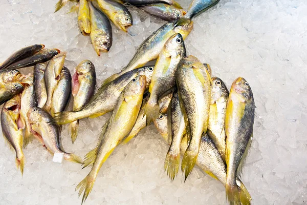 在亚洲市场上的鱼提供了新鲜全鱼 — 图库照片