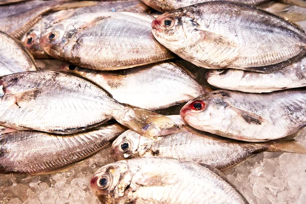 Peces frescos enteros se ofrecen en el mercado de pescado en Asia — Foto de Stock